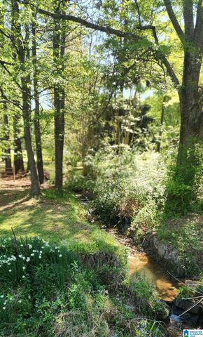 9454 SHIPPTOWN ROAD, Hayden, AL 35063