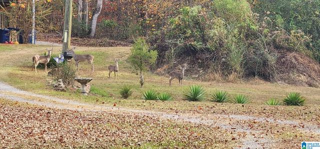 9454 SHIPPTOWN ROAD, Hayden, AL 35063