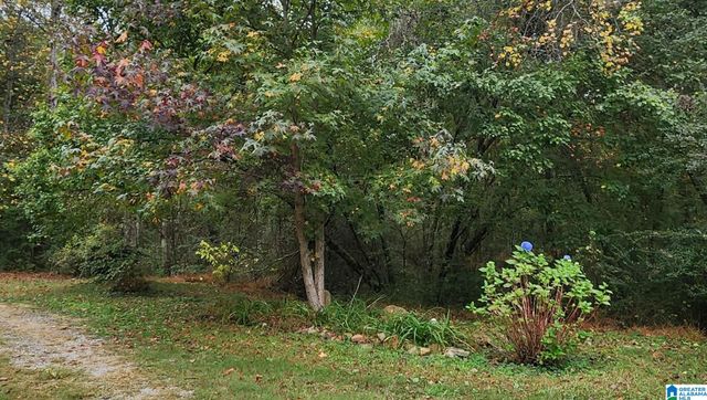 9454 SHIPPTOWN ROAD, Hayden, AL 35063