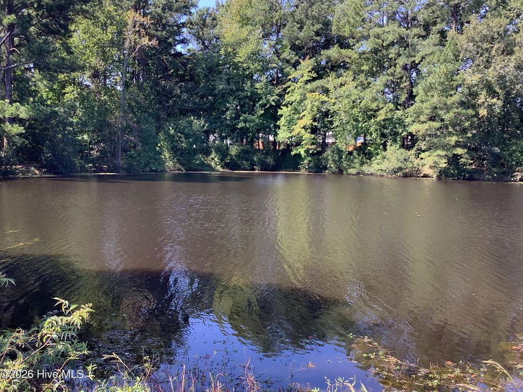 455 Tralee Drive, Smithfield, NC 27577