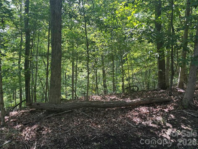 Lot 13 Crab Apple Court, Lake Lure, NC 28746