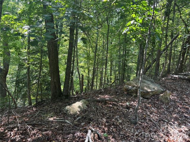 Lot 13 Crab Apple Court, Lake Lure, NC 28746