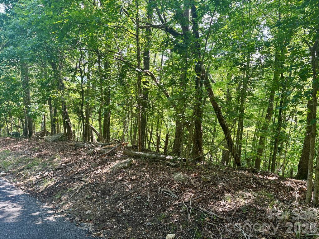 Lot 13 Crab Apple Court, Lake Lure, NC 28746