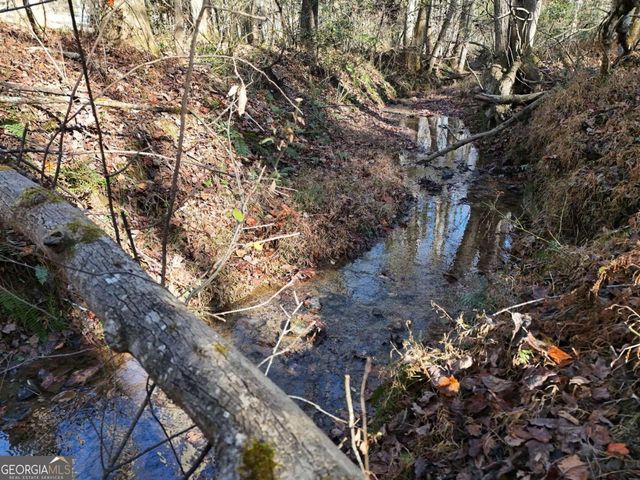 LT 24 Winding Creek Road, Blue Ridge, GA 30513