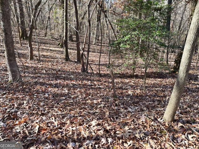 LT 24 Winding Creek Road, Blue Ridge, GA 30513