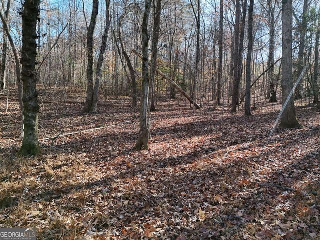 LT 24 Winding Creek Road, Blue Ridge, GA 30513