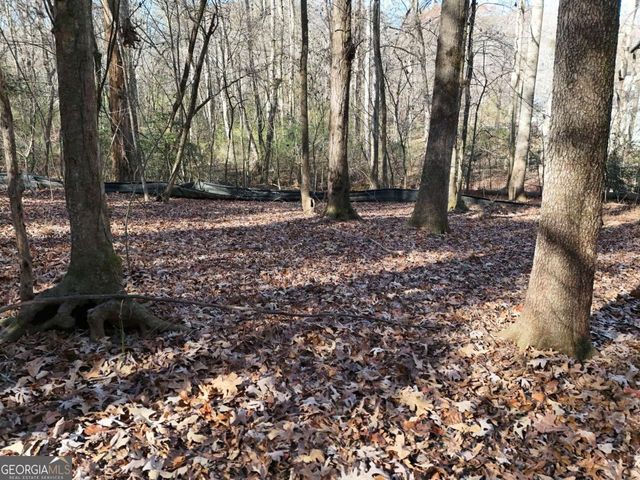 LT 24 Winding Creek Road, Blue Ridge, GA 30513