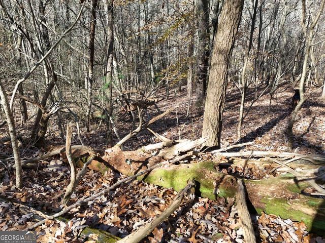 LT 24 Winding Creek Road, Blue Ridge, GA 30513