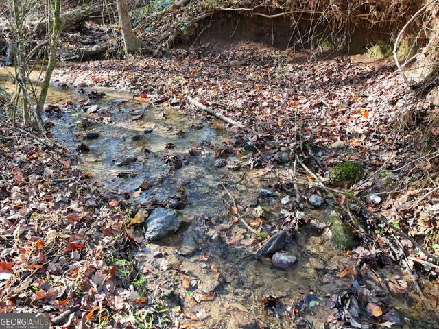 LT 24 Winding Creek Road, Blue Ridge, GA 30513