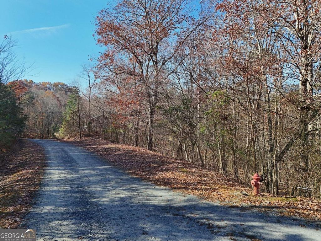 LT 24 Winding Creek Road, Blue Ridge, GA 30513