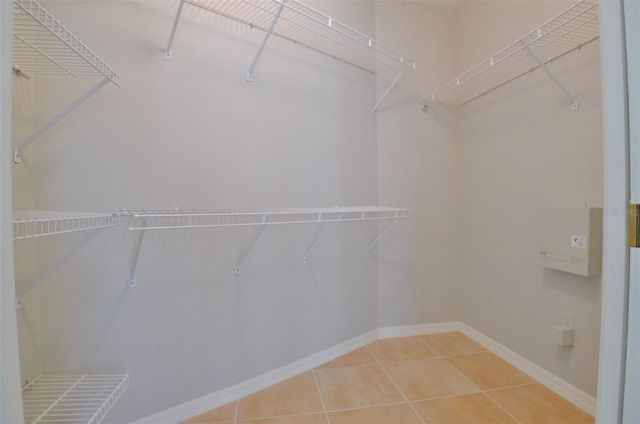 1557 SCOTCH PINE DRIVE, Brandon, FL 33511