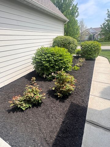 9208 Branch View Drive, Indianapolis, IN 46234