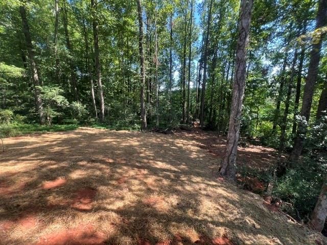 296 Stonington Drive, Mount Airy, GA 30563