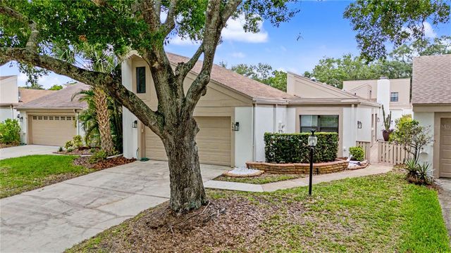 360 S WOODLANDS DRIVE, Oldsmar, FL 34677