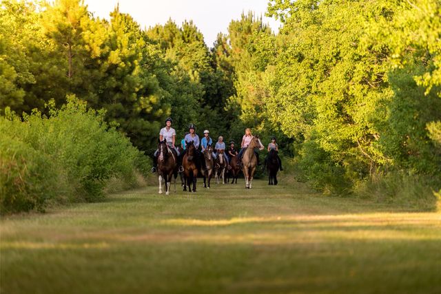 35 Sunlit Song Lane, Tomball, TX 77377