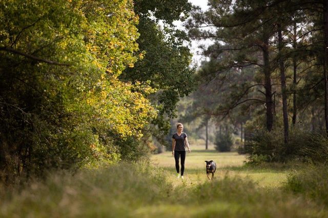 35 Sunlit Song Lane, Tomball, TX 77377