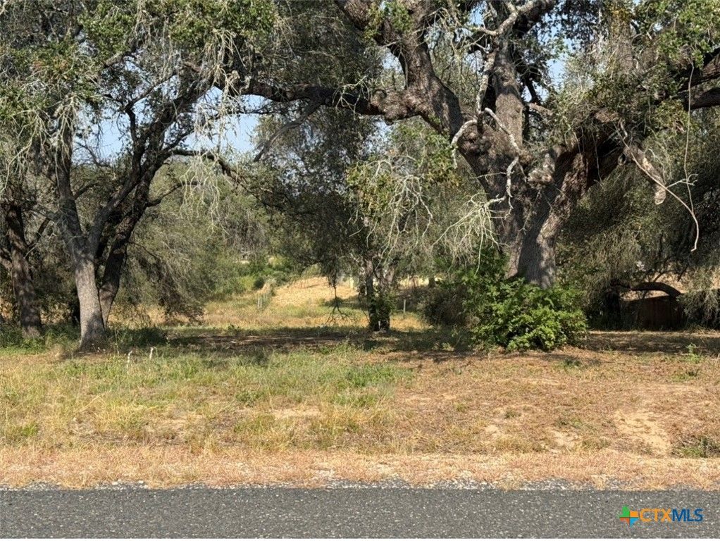 22815 Grand Spring, Elmendorf, TX 78112