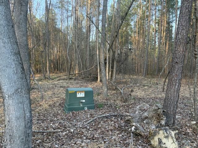 3828 Standing Pine Lane, Zebulon, NC 27597