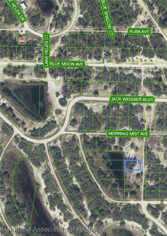 264 Lakeland Drive, Lake Placid, FL 33852