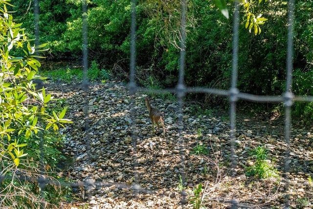 2608 W Pueblo Ave, Napa, CA 94558