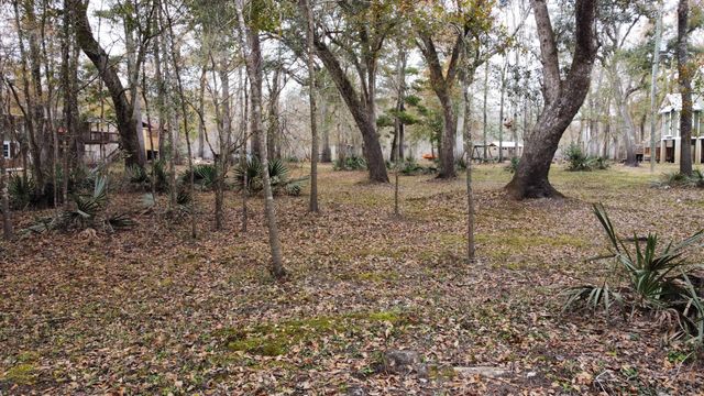 0 Pocket Lane, Cottageville, SC 29435