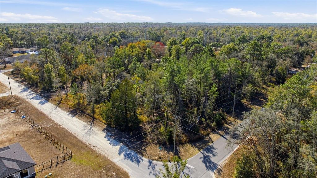 Image 1 of property listing at 12246 MILLINGTON AVENUE, Brooksville, FL 34614