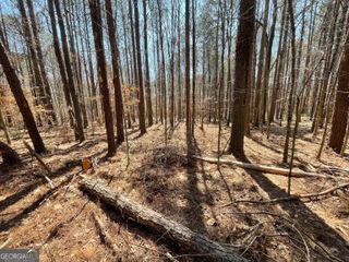 0 Joe Cook Road 4, Franklin, GA 30217
