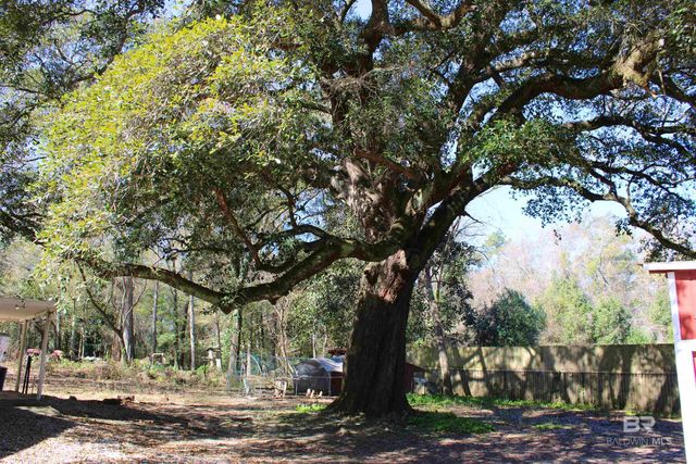 24561 Peavy Lane, Robertsdale, AL 36567