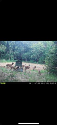 240 Magnolia, Bennington, OK 74723