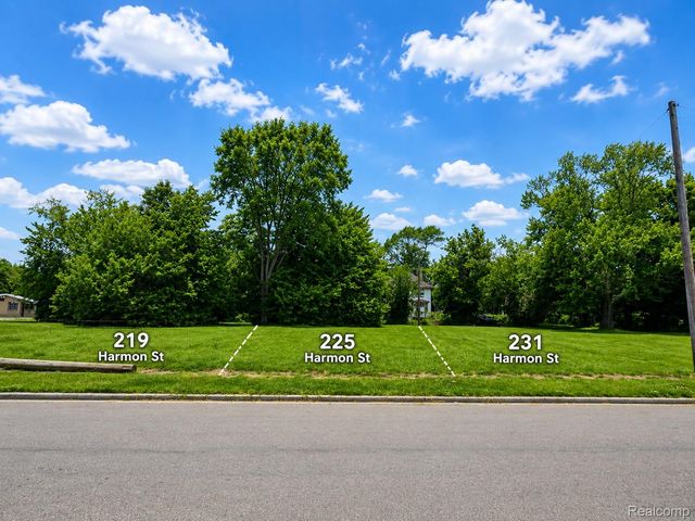 231 Harmon Street, Detroit, MI 48202