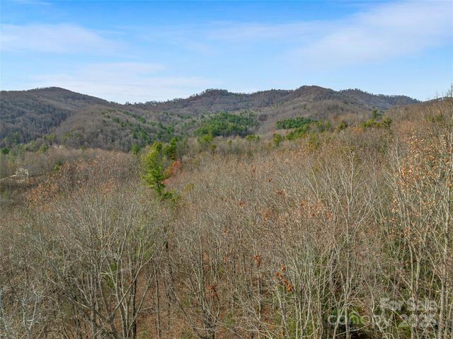 9999-18 Bob Barnwell Road, Asheville, NC 28803