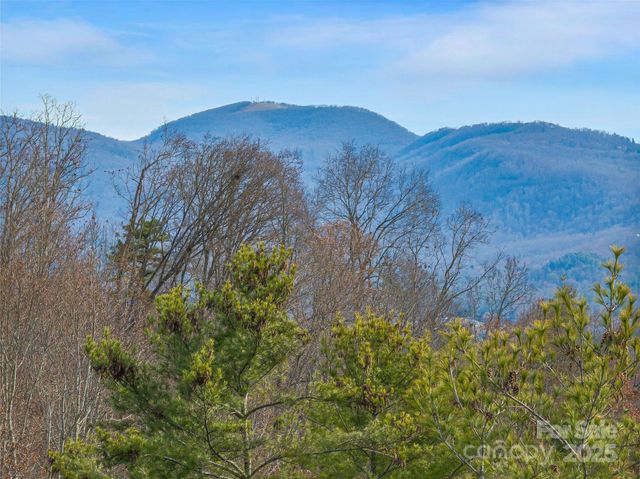 9999-18 Bob Barnwell Road, Asheville, NC 28803