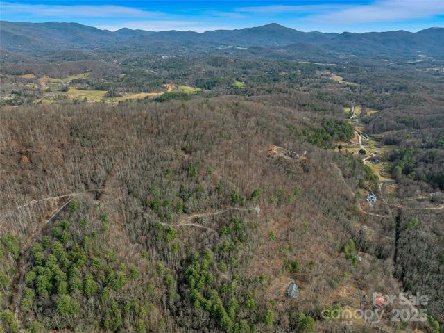 9999-18 Bob Barnwell Road, Asheville, NC 28803