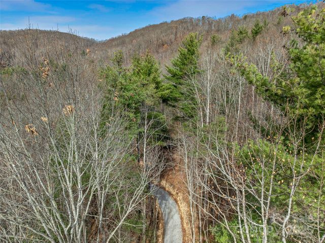 9999-18 Bob Barnwell Road, Asheville, NC 28803