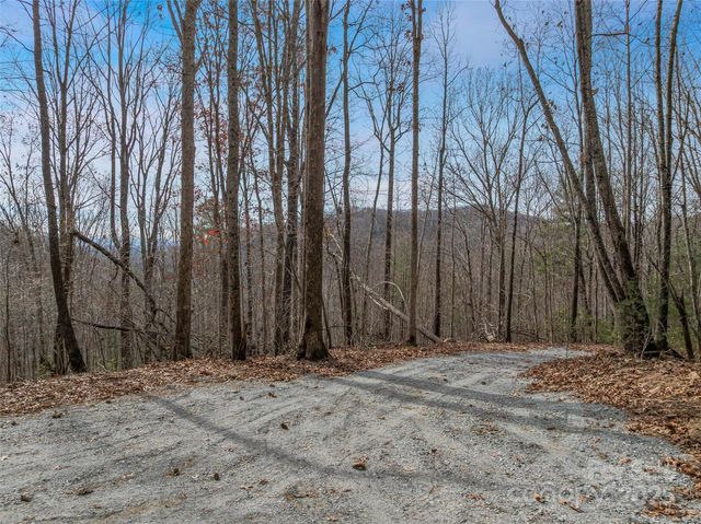 9999-18 Bob Barnwell Road, Asheville, NC 28803