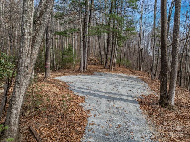 9999-18 Bob Barnwell Road, Asheville, NC 28803