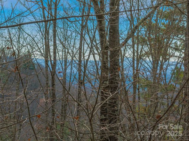 9999-18 Bob Barnwell Road, Asheville, NC 28803