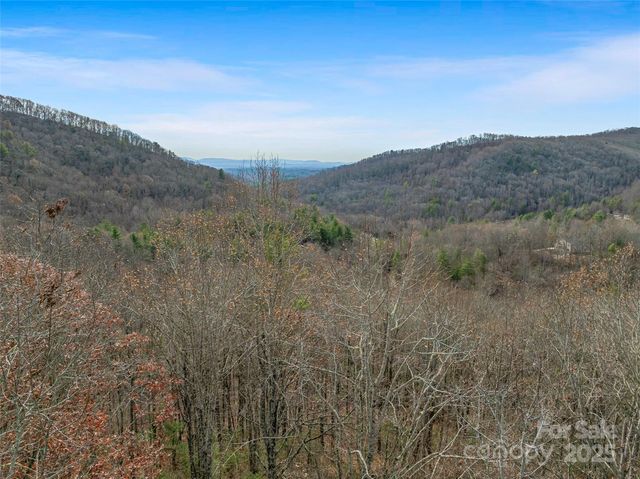 9999-18 Bob Barnwell Road, Asheville, NC 28803