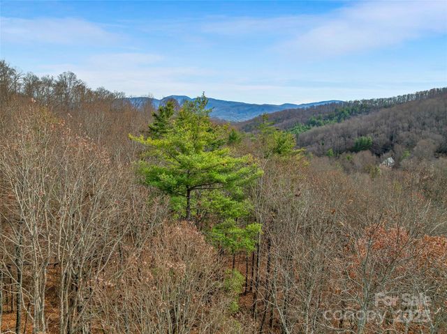 9999-18 Bob Barnwell Road, Asheville, NC 28803