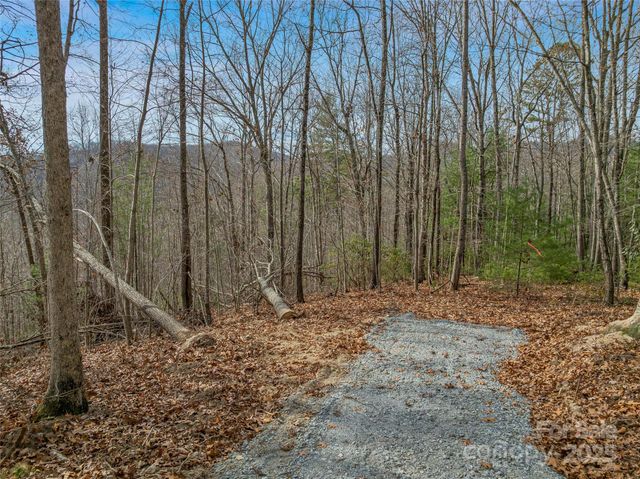 9999-18 Bob Barnwell Road, Asheville, NC 28803