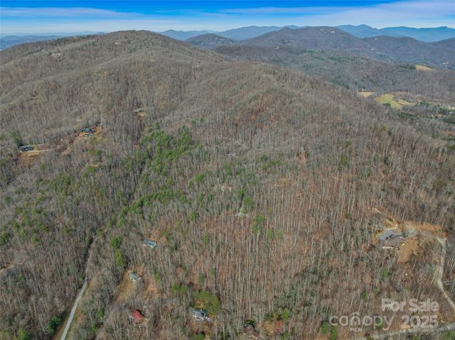 9999-18 Bob Barnwell Road, Asheville, NC 28803