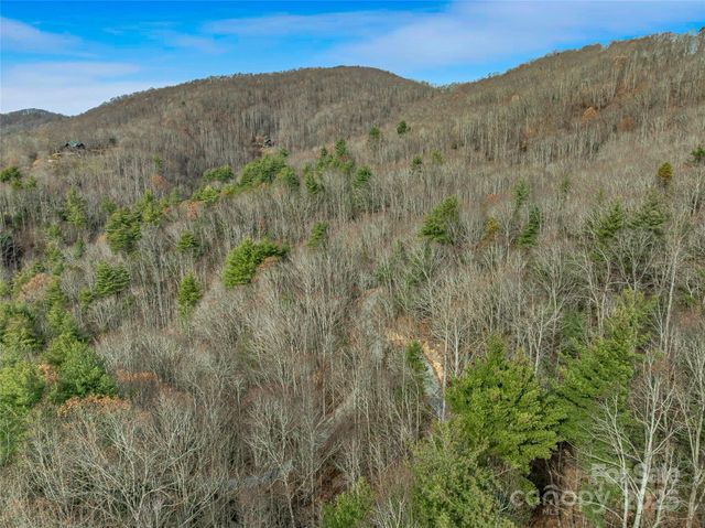 9999-18 Bob Barnwell Road, Asheville, NC 28803