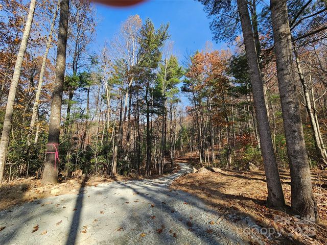 9999-18 Bob Barnwell Road, Asheville, NC 28803