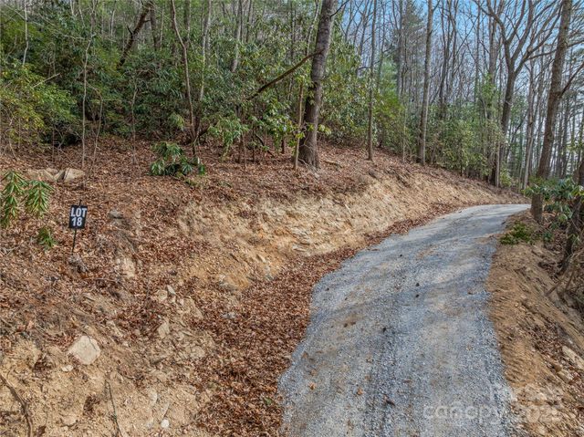 9999-18 Bob Barnwell Road, Asheville, NC 28803