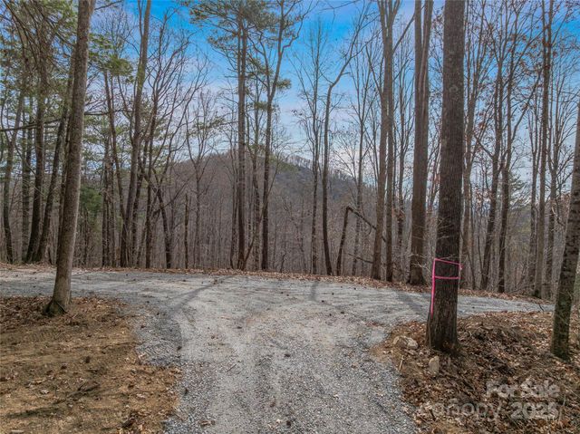 9999-18 Bob Barnwell Road, Asheville, NC 28803