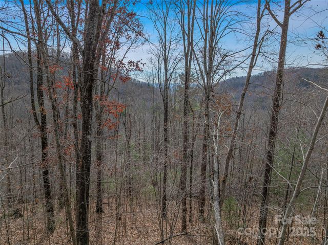 9999-18 Bob Barnwell Road, Asheville, NC 28803