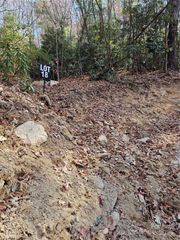 9999-18 Bob Barnwell Road, Asheville, NC 28803