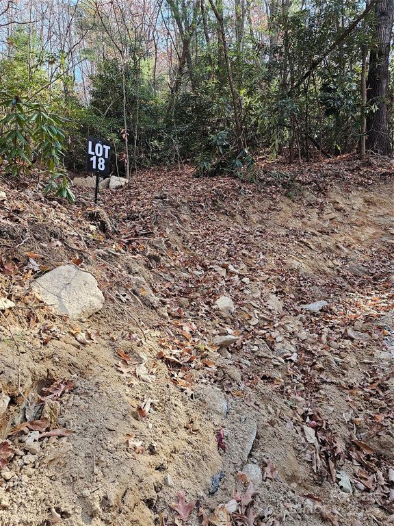 9999-18 Bob Barnwell Road, Asheville, NC 28803