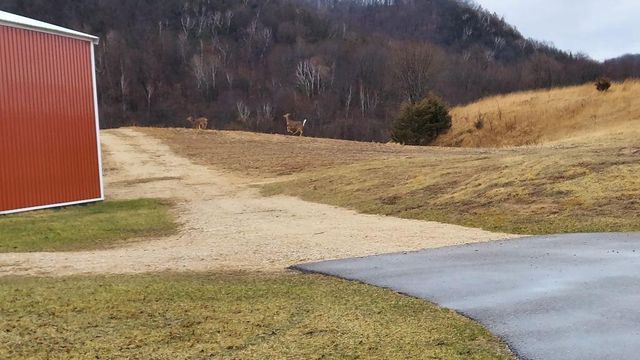 S2901 SEMLING LANE, Fountain City, WI 54629