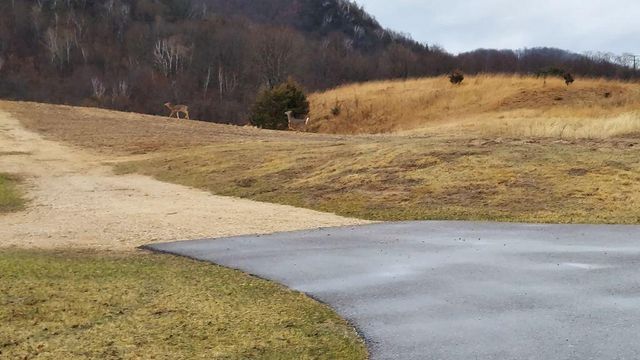 S2901 SEMLING LANE, Fountain City, WI 54629